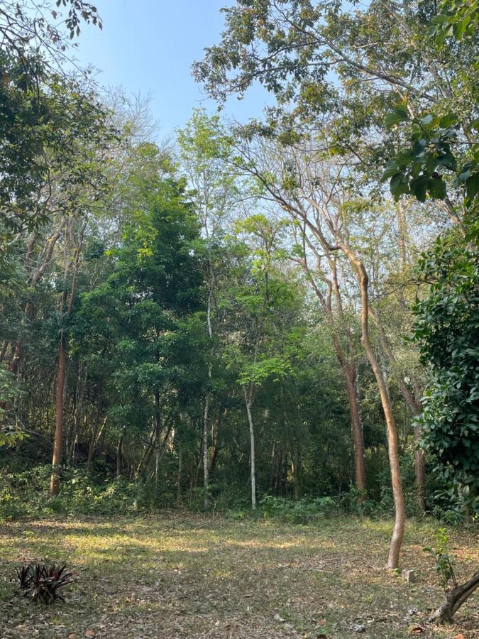 Ecohabitat Bed & Breakfast ซปูฆิล ภายนอก รูปภาพ